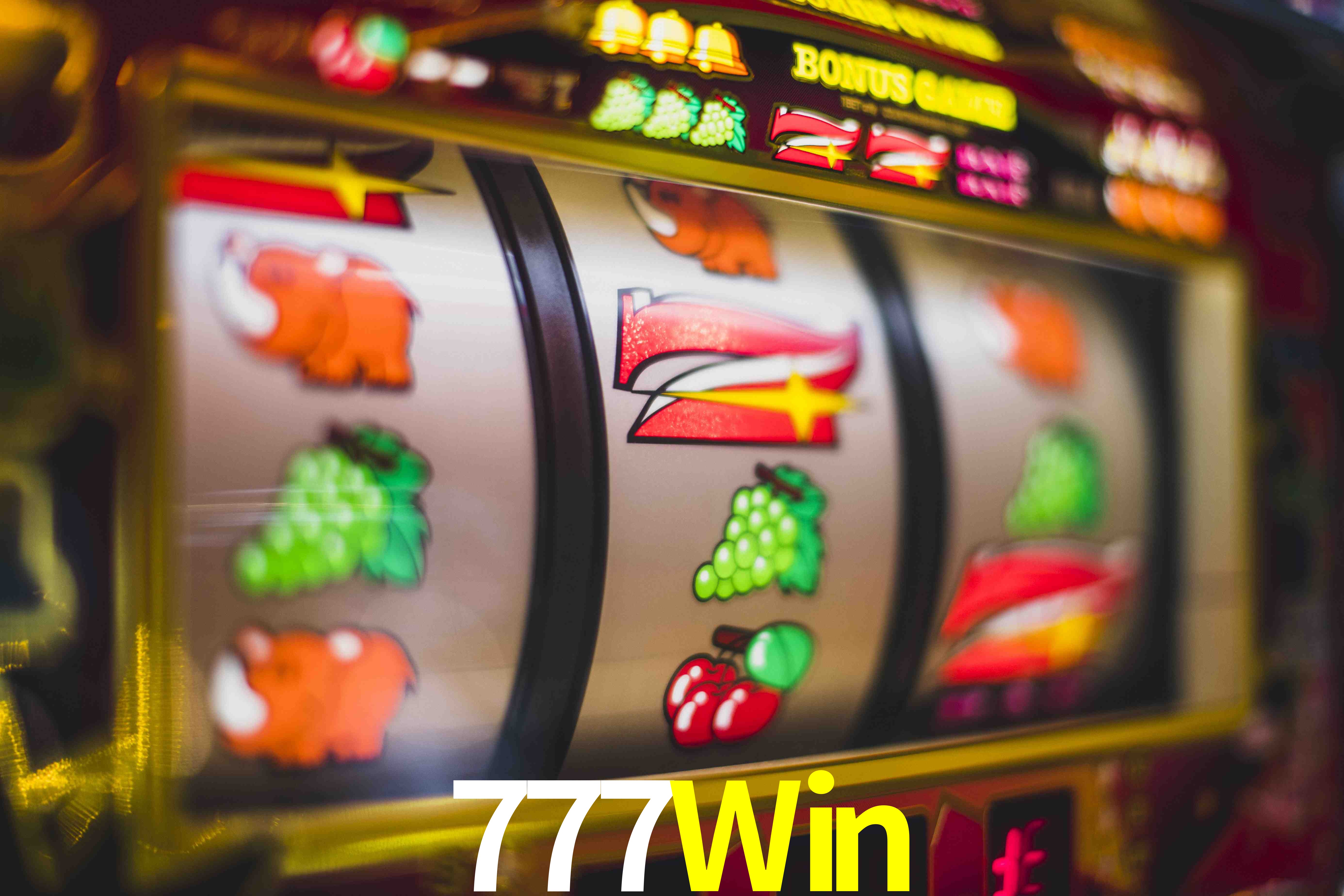 Statistics 777Win